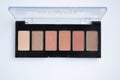 Palette of eye shadow on white background. Samples of brown nude make