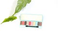 The palette of fashion beauty cosmetics with colors Pastel of spring set collection image