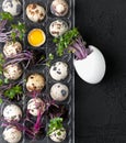 Palette with fresh quail eggs and watercress on a black textured background Royalty Free Stock Photo