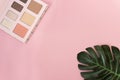 Palette of multicolor cosmetic make up with a monstera leaf on pink background. Pastel color palette, minimalism, light pink