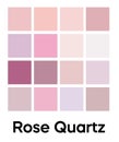 Palette of Rose Quartz tones. Pink colors template. Shades of rose petals, tender girls color. Vector colored pattern
