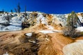 Palette Springs. Devils thumb at the Mammoth Hot Springs. Yellowstone National Park. Wyoming. USA.