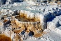 Palette Springs. Devils thumb at the Mammoth Hot Springs. Yellowstone National Park. Wyoming. USA.