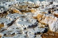 Palette Springs. Devils thumb at the Mammoth Hot Springs. Yellowstone National Park. Wyoming. USA.