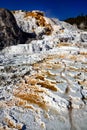 Palette Springs. Devils thumb at the Mammoth Hot Springs. Yellowstone National Park. Wyoming. USA.