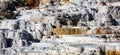 Palette Springs. Devils thumb at the Mammoth Hot Springs. Yellowstone National Park. Wyoming. USA.