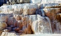 Palette Springs. Devils thumb at the Mammoth Hot Springs. Yellowstone National Park. Wyoming. USA.