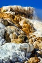Palette Springs. Devils thumb at the Mammoth Hot Springs. Yellowstone National Park. Wyoming. USA.