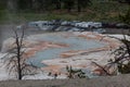 Palette Springs at Yellowstone