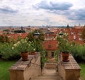 Palffy Garden in Prague Castle, Czech Republic Royalty Free Stock Photo
