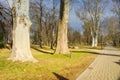 Old trees in the park near Palffy Manor house from the 17th century in park in Malacky Slovakia Royalty Free Stock Photo