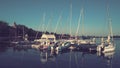 Palic, Serbia, September 11 2021 Boats and yachts on the shores of Lake Palic. Rest on the water. Sports water transport Royalty Free Stock Photo