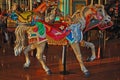 Palimino Carousel Horse Royalty Free Stock Photo