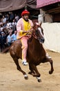 Palio di Siena Jockey, the Rider or Fantino of the Contrada Valdimontone Riding Royalty Free Stock Photo