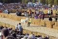 Palio of the donkeys of Alba (Cuneo-Italy) and the International White Truffle Fair