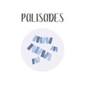 Palisades. Bacteria classification. Rod-shaped shapes of bacteria, bacilli. Morphology. Microbiology.