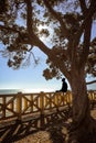 Silhouette of a Young Man sitting on a Fence in Palisades Park - Santa Monica, California Royalty Free Stock Photo