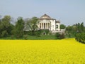 Palladio's Villa La Rotonda in spring with a rapeseed field
