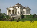 Palladio's Villa La Rotonda with a yellow field of rapeseed in Vicenza, Italy