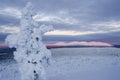 Pallas national park, Finland Royalty Free Stock Photo