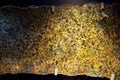 Pallasite Meteorite Royalty Free Stock Photo