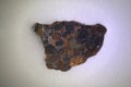 Pallasite Meteorite slice olivine crystals