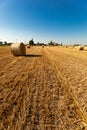 Straw balls detail on the agricultural field during summer sunny day