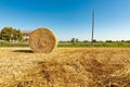 Palle di paglia sul campo in estate dopo la raccolta della segale, cielo azzurro sul prato. Lavoro stagionale agricolo