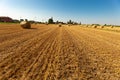 Palle di paglia sul campo in estate dopo la raccolta della segale, cielo azzurro sul prato. Lavoro stagionale agricolo