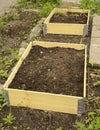 Pallet collars in garden