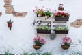 Pallet ideas for gardening