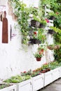 Pallet ideas for gardening