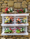 Pallet rebuilt into flower boxes with rustic wall Royalty Free Stock Photo