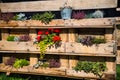 Pallet rebuilt into flower boxes Royalty Free Stock Photo