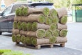 Pallet with stack of turf grass rolls lawn fresh grass to decorate landscape design in residential area Royalty Free Stock Photo