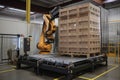 palletizer robot with multiple grips and grippers, picking up different types of pallets
