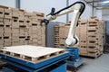 palletizing robot, lifting and placing goods onto pallets with speed and precision