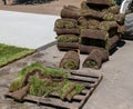 Pallets with rolls of fresh sod grass for installation and trimmed pieces. Royalty Free Stock Photo