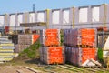 Pallets with wienerberger facing bricks on a consturction site, Building materials, construction site in Rucphen, The Netherlands