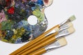 Pallette with brushes on a white background Royalty Free Stock Photo