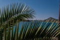 Palm fronds by the sea at Brgulje on Otok Molat Royalty Free Stock Photo