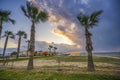 Palm alley, bright cloudy sky and green palm trees