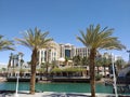 The palm alley of the embankment of the Lagoon of the city of Eilat Royalty Free Stock Photo