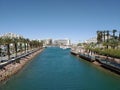 The palm alley of the embankment of the Lagoon of the city of Eilat Royalty Free Stock Photo