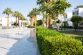 Palm alley and paved path Royalty Free Stock Photo