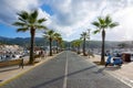 Palm alley in Port Soller, Mallorca, Balearic islands, Spain Royalty Free Stock Photo