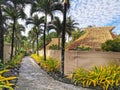 A palm alley on a tropical resort