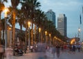 Palm alley on waterfront in Barcelona in summer evening