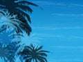 Palm background