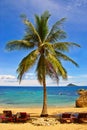 Palm Beach Royalty Free Stock Photo